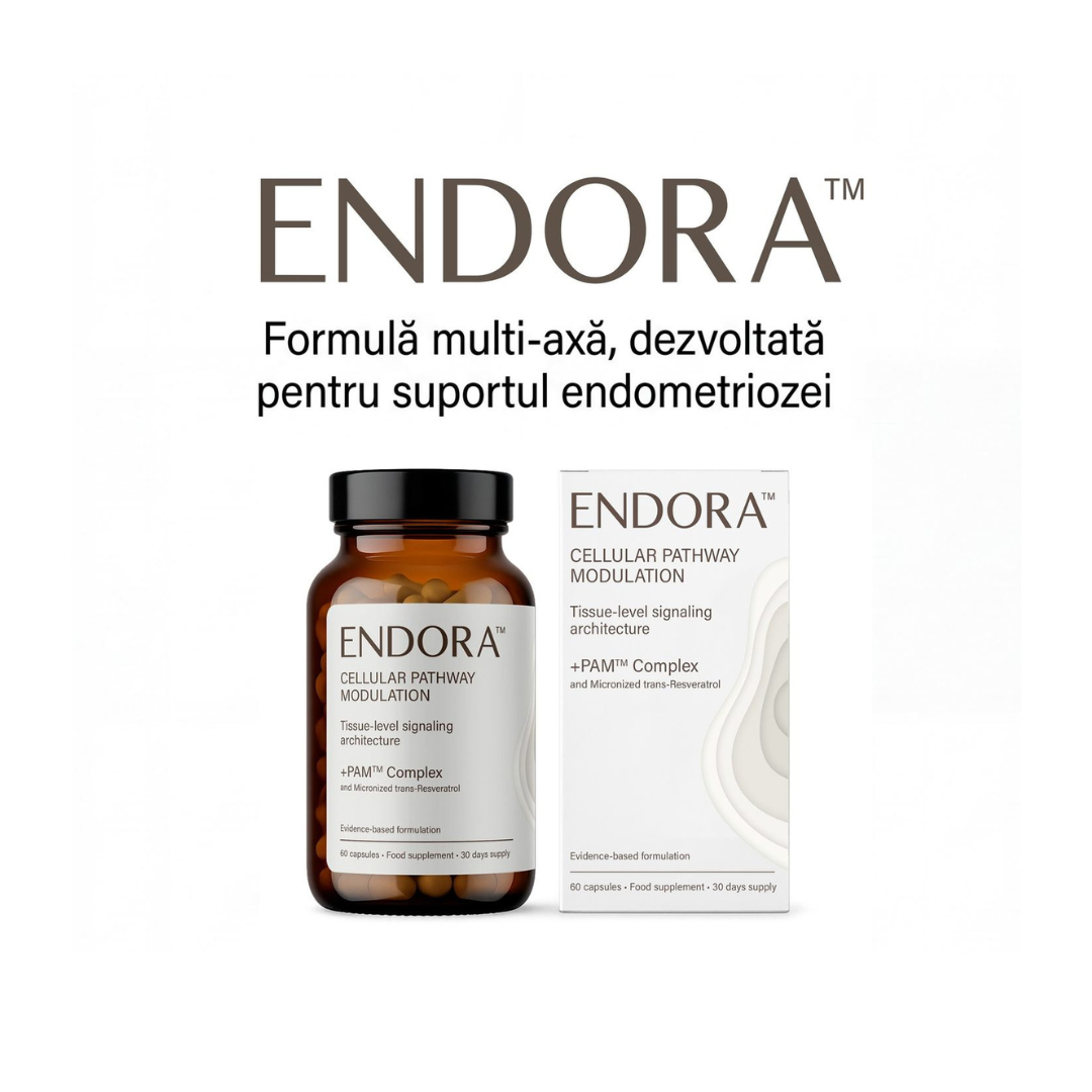 Read more about the article Durerile menstruale și abordările nutriționale complementare